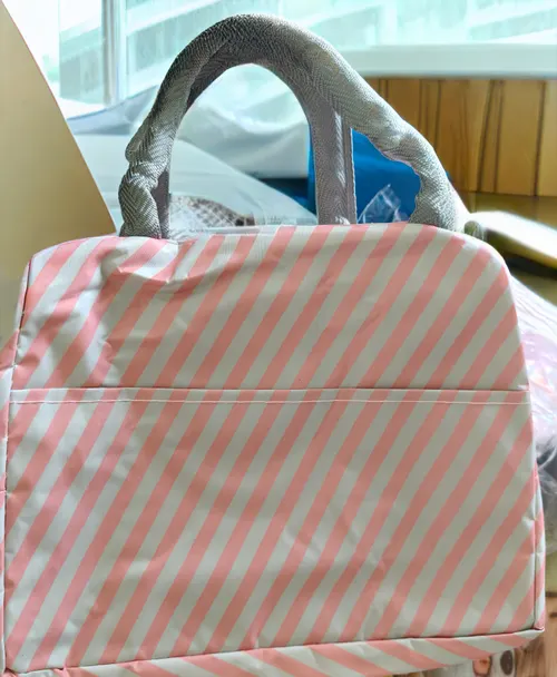 Insulated Lunch Bag -Small